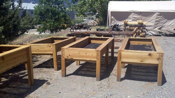 raised beds