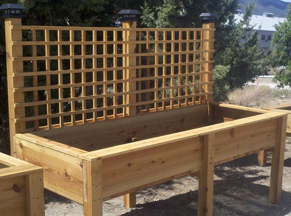 raised planter box with lattice and lights